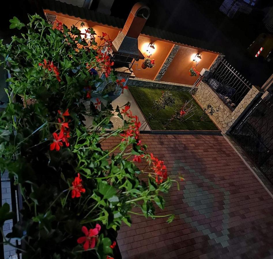 Hotel Casa Cizi Călimăneşti Exterior foto