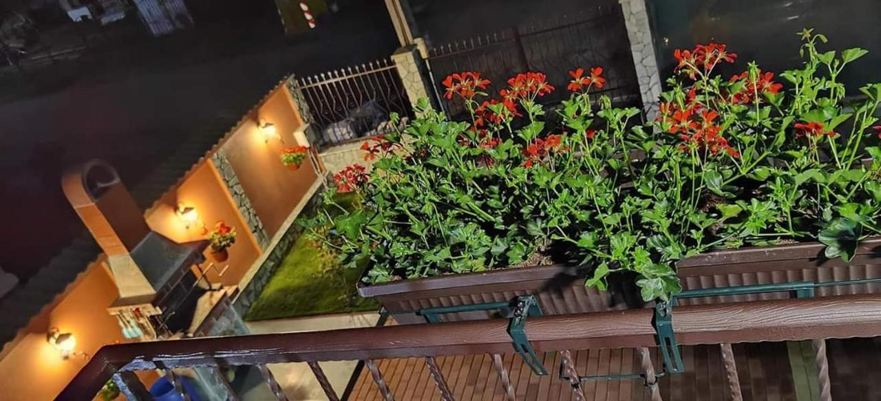 Hotel Casa Cizi Călimăneşti Exterior foto