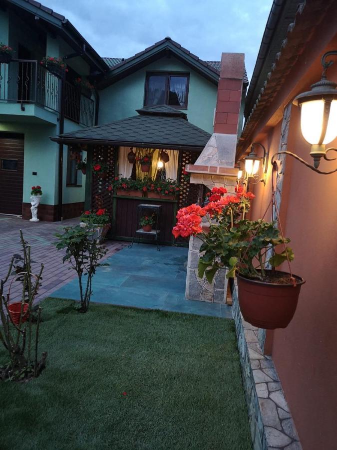 Hotel Casa Cizi Călimăneşti Exterior foto