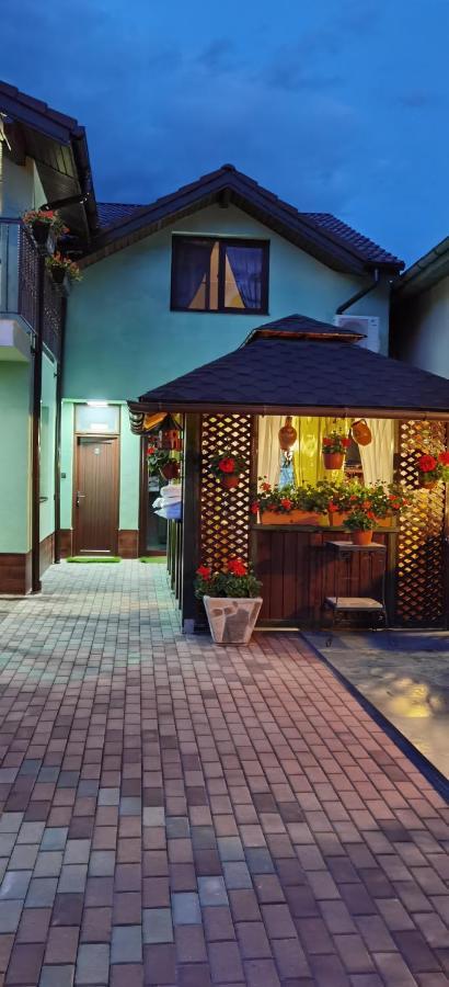 Hotel Casa Cizi Călimăneşti Exterior foto