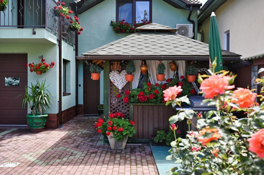 Hotel Casa Cizi Călimăneşti Exterior foto